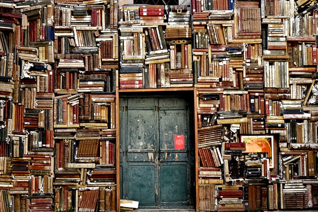 staré dveře knihovny